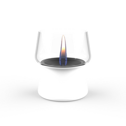 Tenderflame - Lampion Amaryllis 14